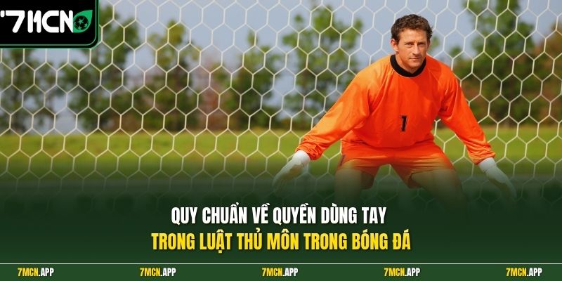 Quy chuẩn về quyền dùng tay trong luật thủ môn trong bóng đá